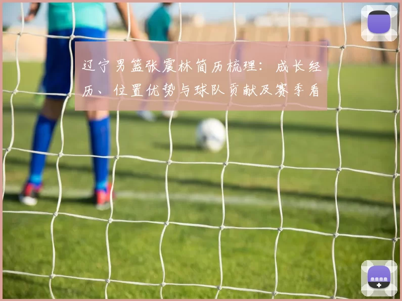 辽宁男篮张震林简历梳理：成长经历、位置优势与球队贡献及赛季看点