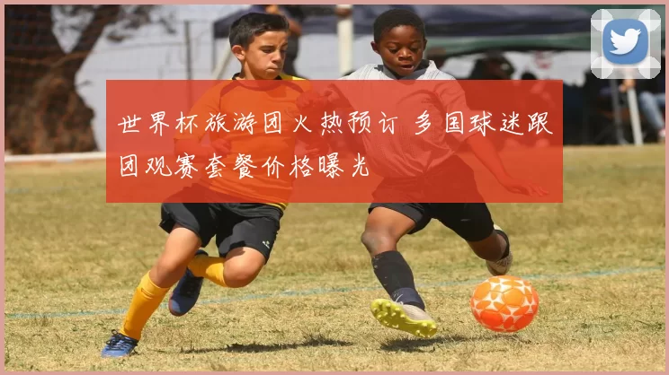 世界杯旅游团火热预订 多国球迷跟团观赛套餐价格曝光
