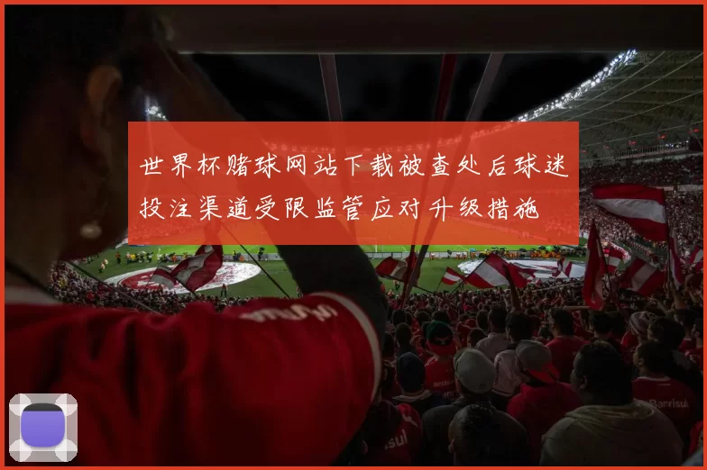 世界杯赌球网站下载被查处后球迷投注渠道受限监管应对升级措施
