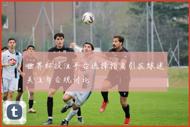 世界杯投注平台选择指南引发球迷关注与合规讨论