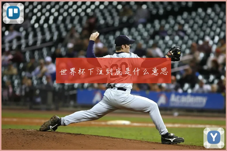 世界杯下注到底是什么意思