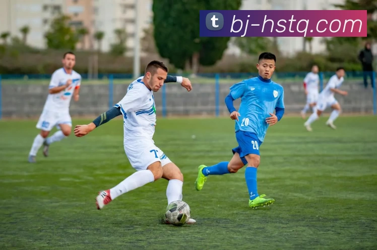 ob体育最新官网(官方)登录入口发展历程